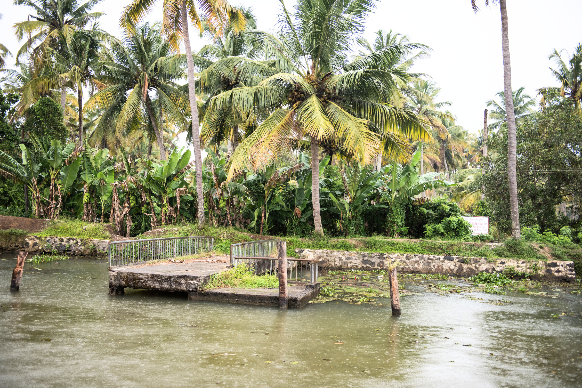 12_Kottayam[1].webp